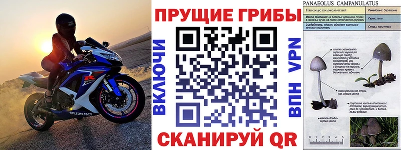 где найти   Верхняя Пышма  Галлюциногенные грибы мицелий 